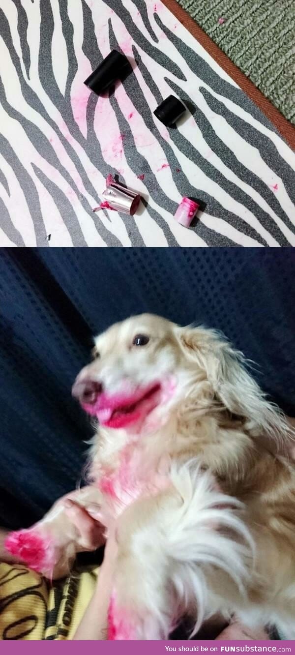 I have absolutely no idea who ate my lipstick