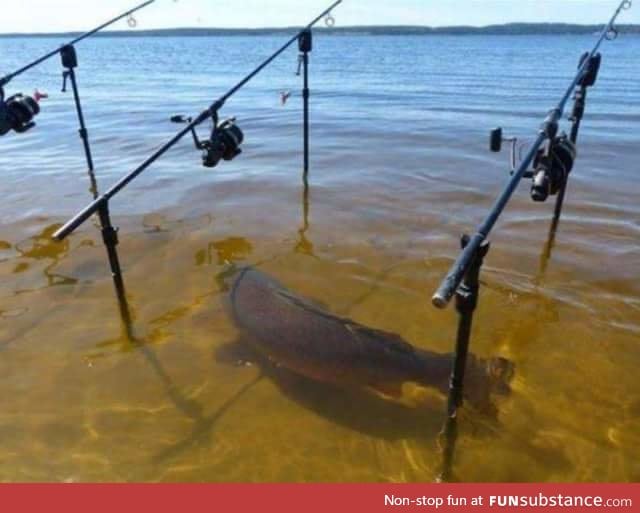 Less than effective fishing