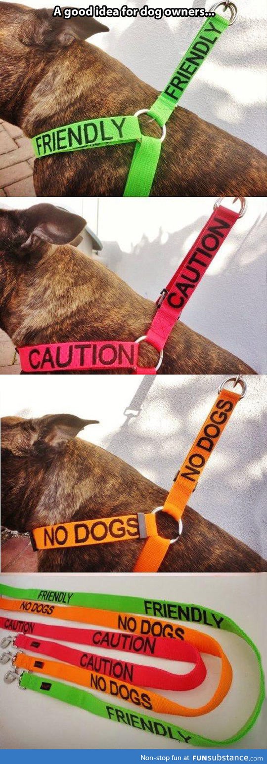 A very good idea for dog owners