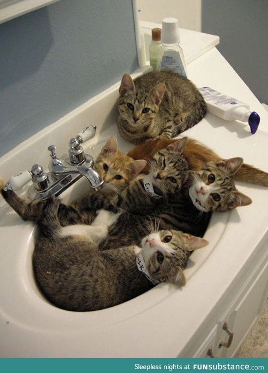 Sorry, the sink is busy today