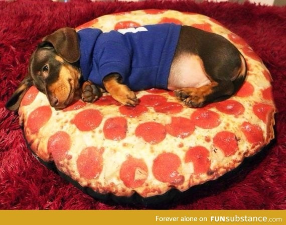 Here is a pizza with an extra sausage