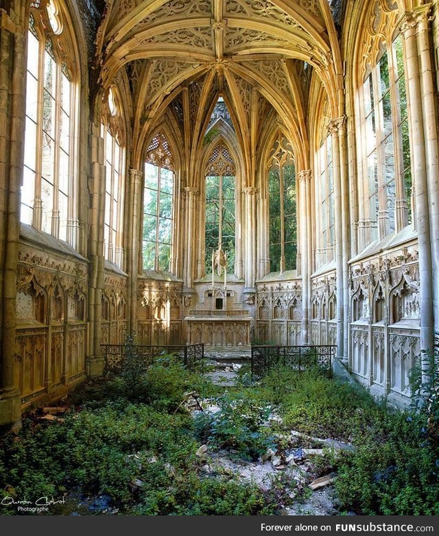Nature taking back a church