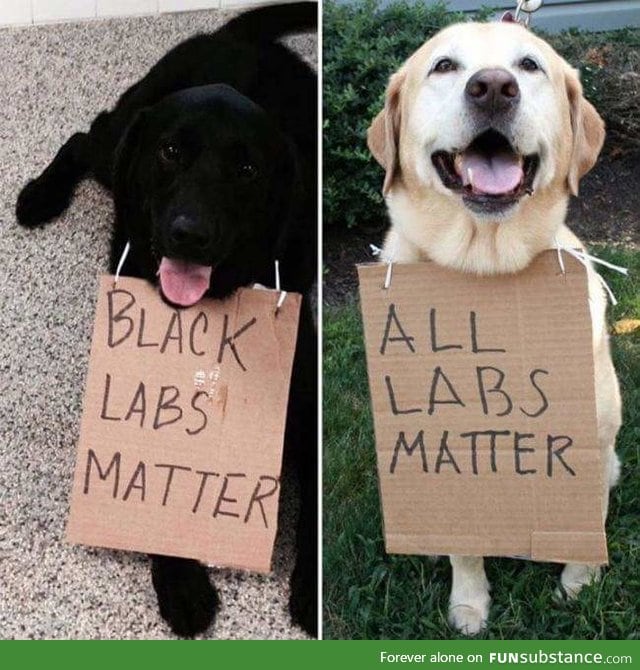 All dogs matter!