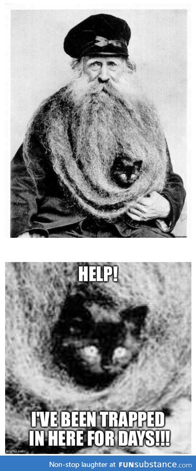 Poor kitty!