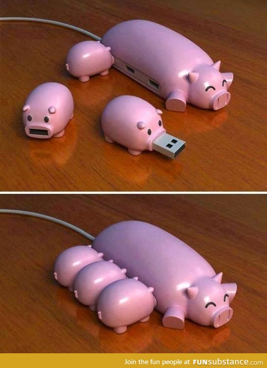 Pig USB hub