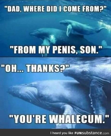 Sperm Whale?