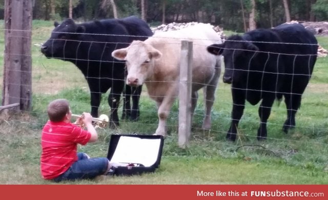 Neighbor boy was told to practice his trumpet somewhere else