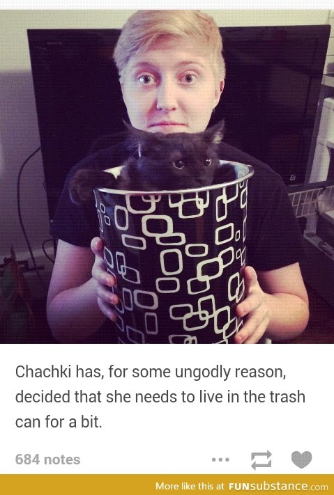 Poor kitty thinks she's trash