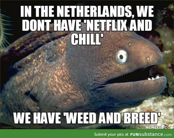 The Dutch alternative for Netflix and Chill