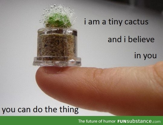 tiny cactus believes in you!!!