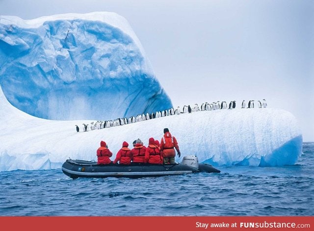 Antarctic scenic tour stop