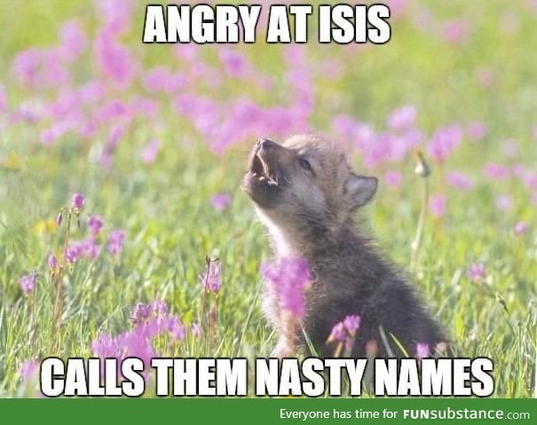 After hearing that the world leaders have agreed to call ISIS "Daesh" a name they hate