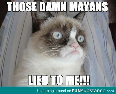 Grumpy cat is disappointed