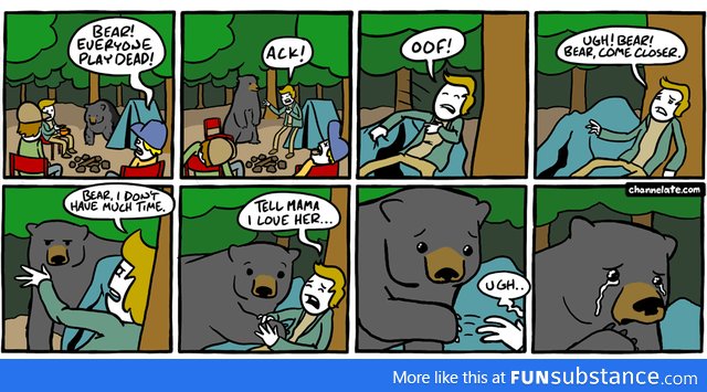 Protecting yourself from bears