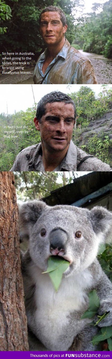 Bear Grylls In Australia