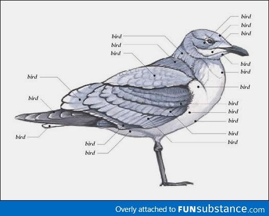 I find the things I learned in biology very helpful