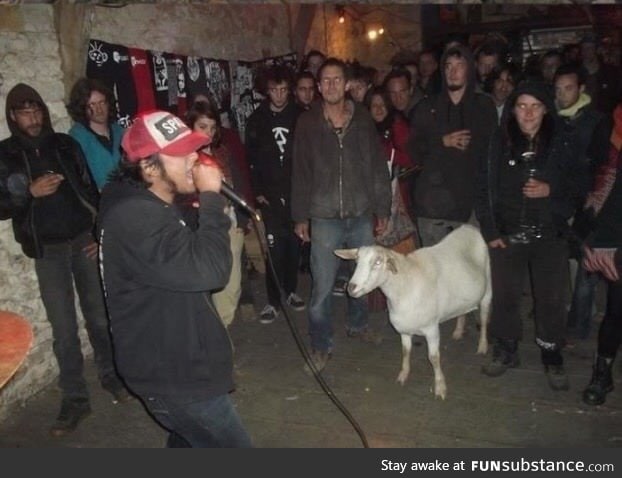 When your goat's really into underground rap