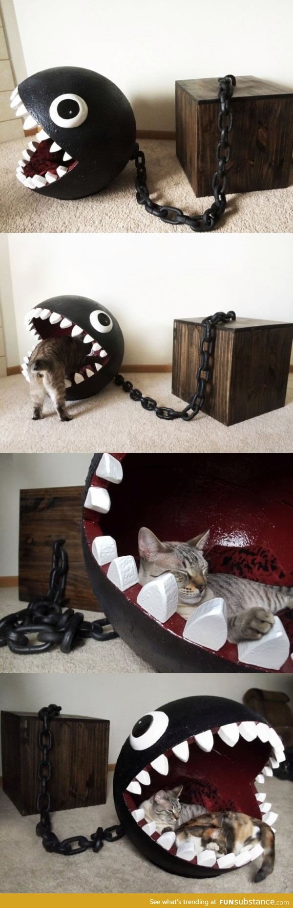 Chomp the cat bed