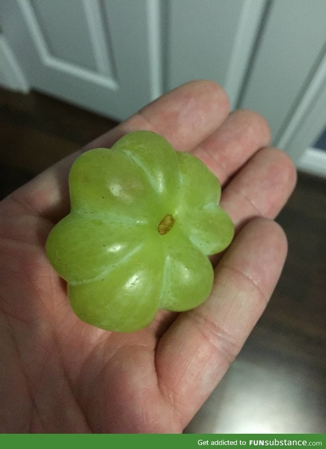 This grape is 8 grapes fused into 1