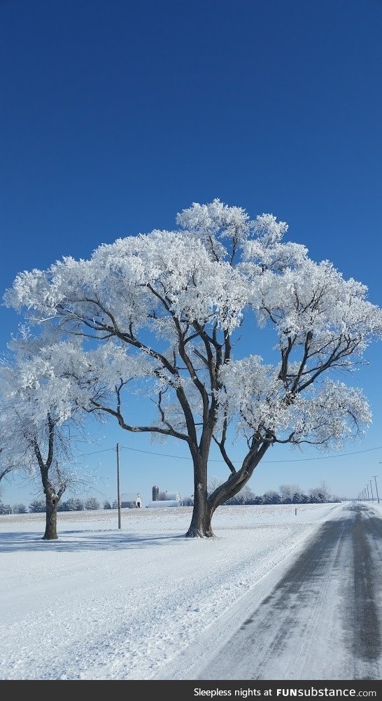 The first snowfall of the season in Northern Illinois