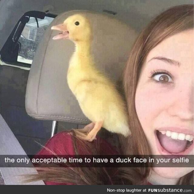 The only kind of duck face I'd approve