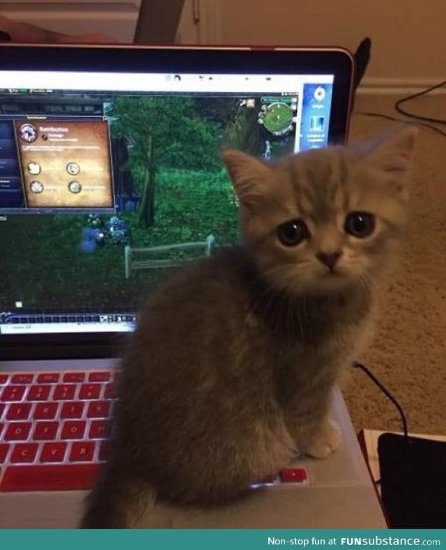 Play with me! :(