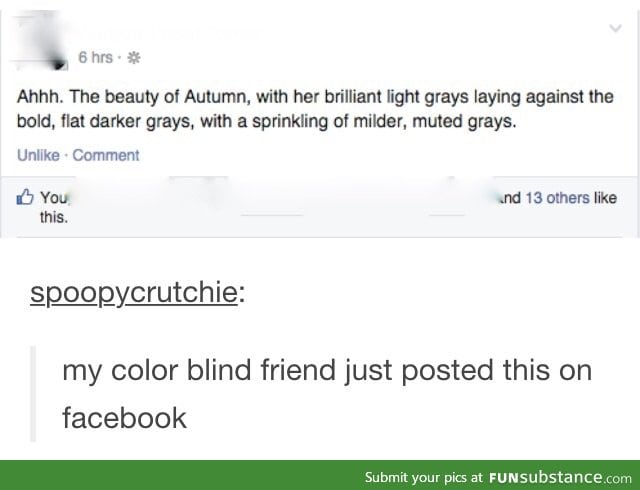 50 shades of grey...