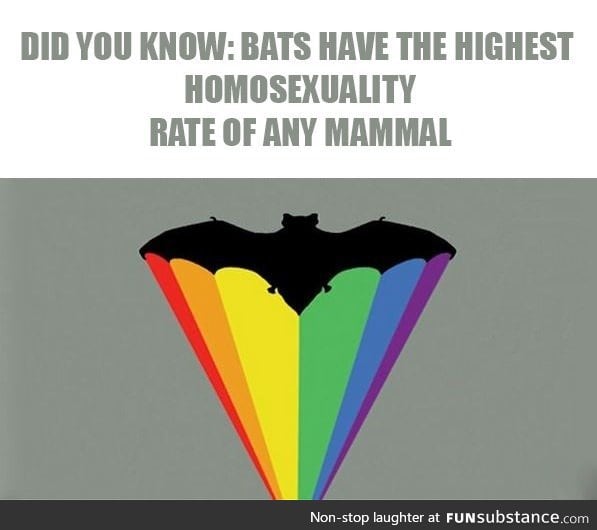 You go bats! (I'm not gay... I'm just Batman!)