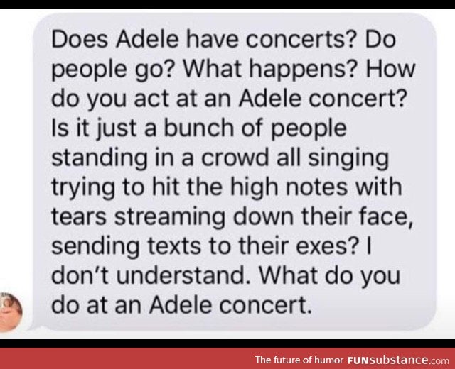 An Adele concert