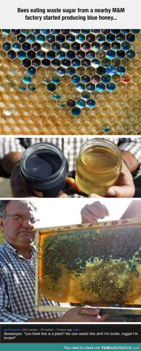 Blue honey