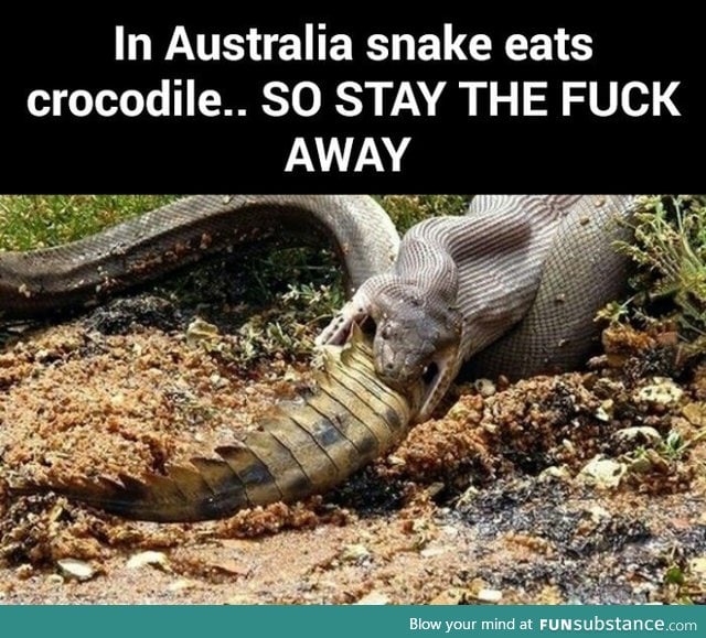 Australia is not a place for humans