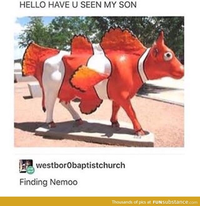 Finding Nemooo