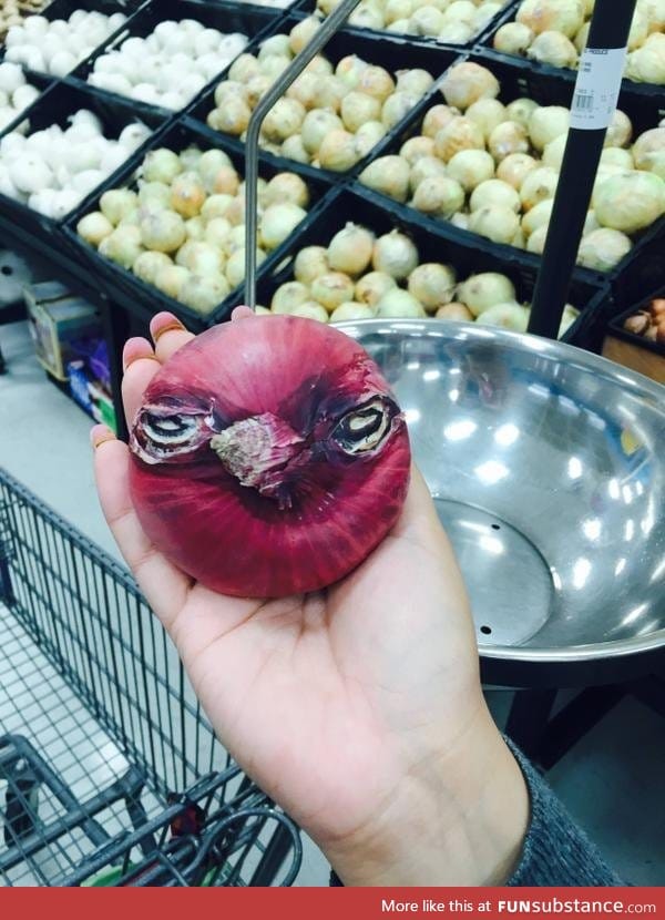 This onion looks like an angry bird