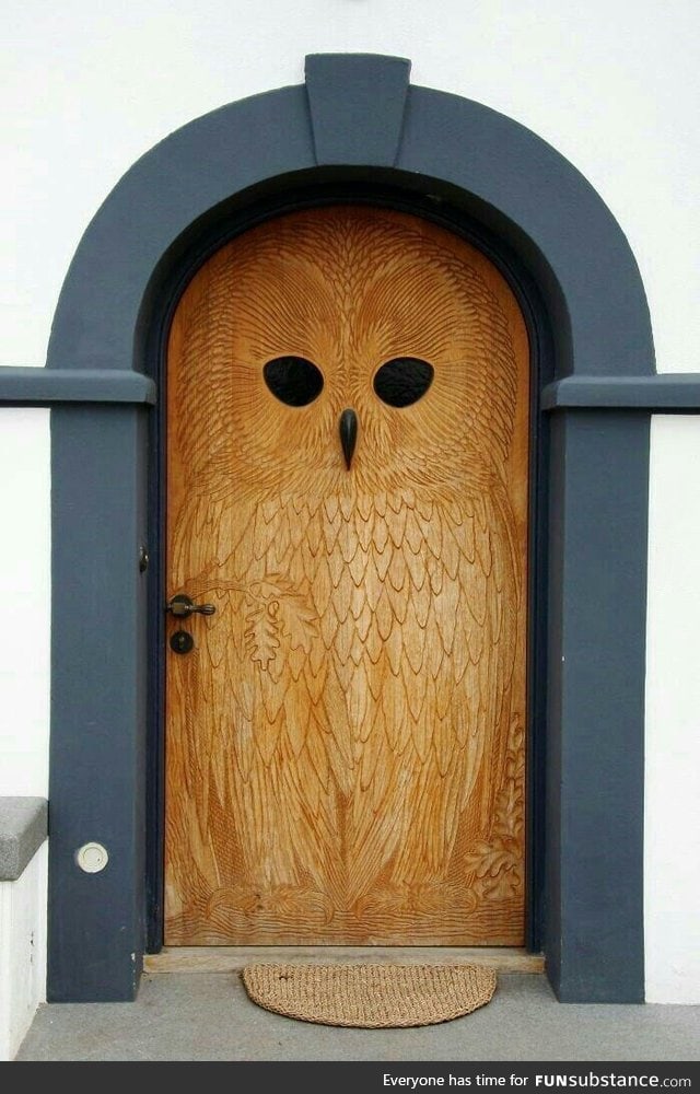 The Owl Door for the owl lovers