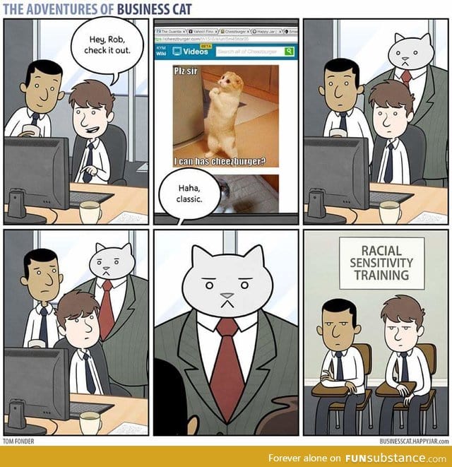 Cat Boss isn't amused