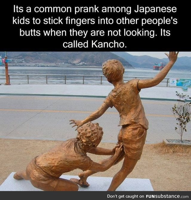 Japan is a beautiful place in every ass-pect