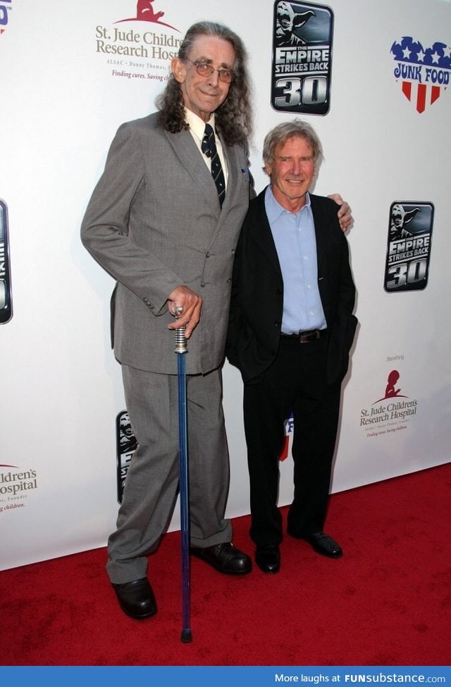 Chewbacca and Han Solo