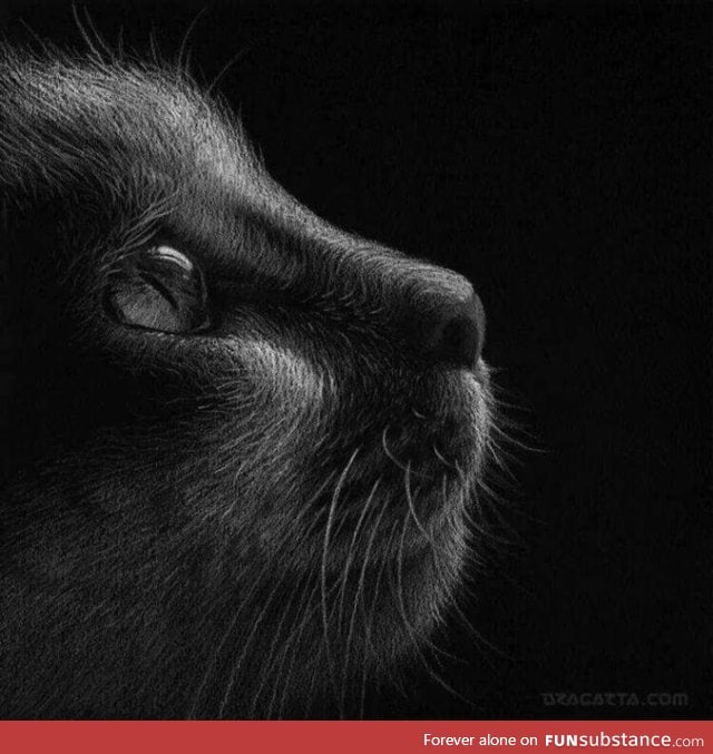 Beautiful drawing (black paper, white color)