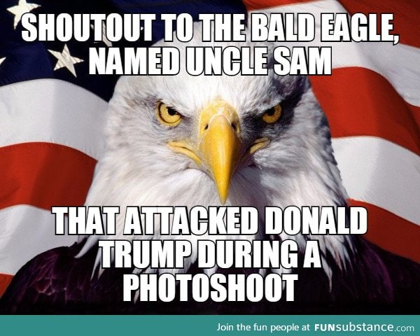 Give that eagle a medal