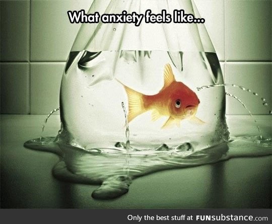 Anxiety explained