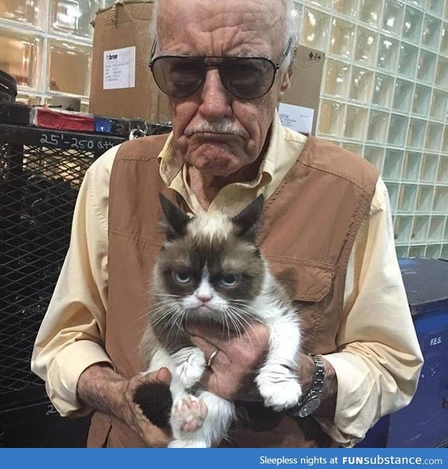 Stan Lee and Grumpy Cat - FunSubstance