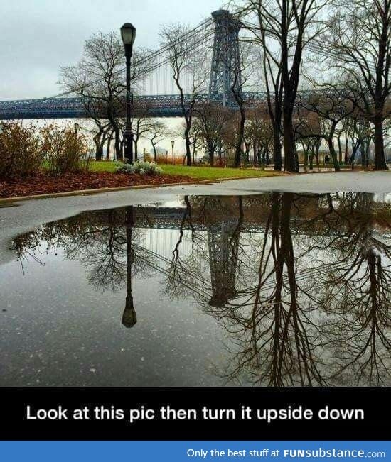 Look upside down