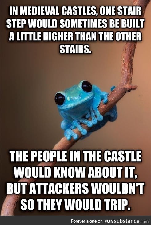 Fun fact frog