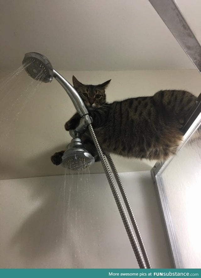Hey, what are you doing? You taking a shower? That's cool. I'll just hang out