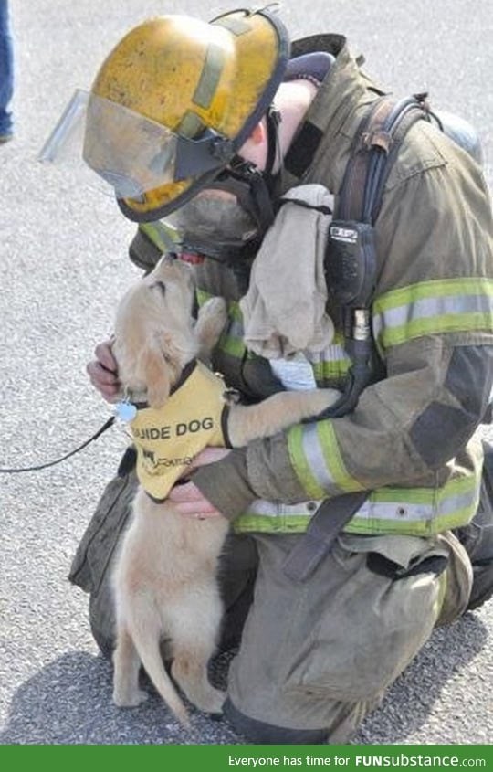 When a service puppy meets a firefighter