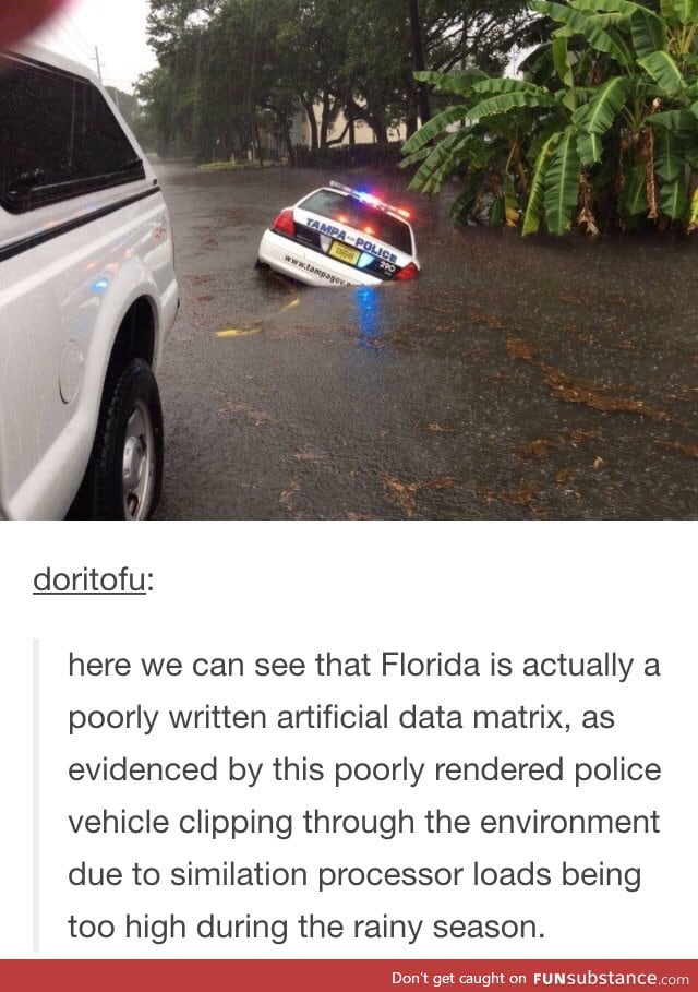 Florida isn't real.