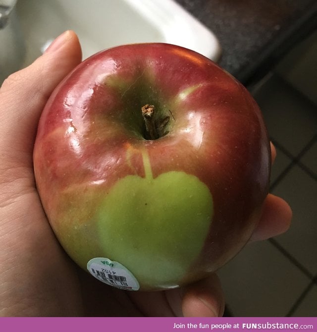 Apple has an apple on it
