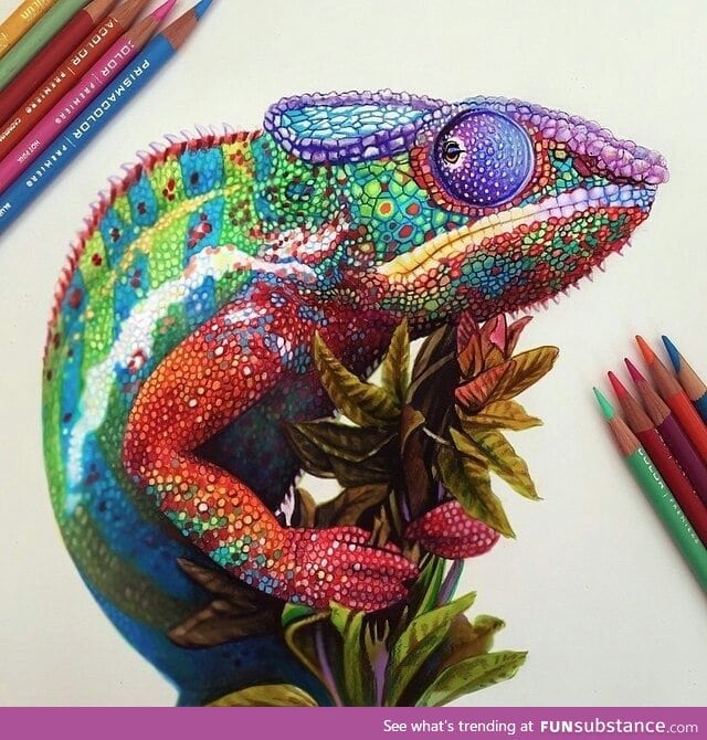 Amazing colored pencil chameleon - FunSubstance