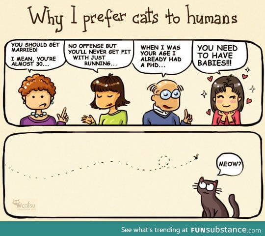 cats are better then humans