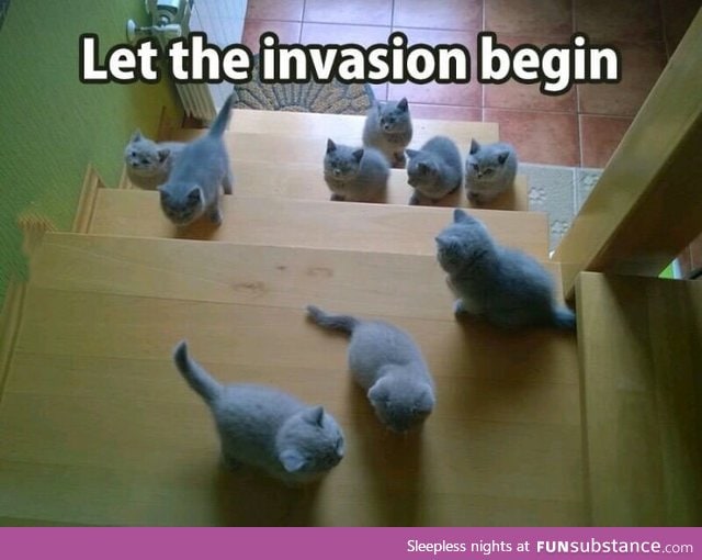 Who wants an Invasion like this?